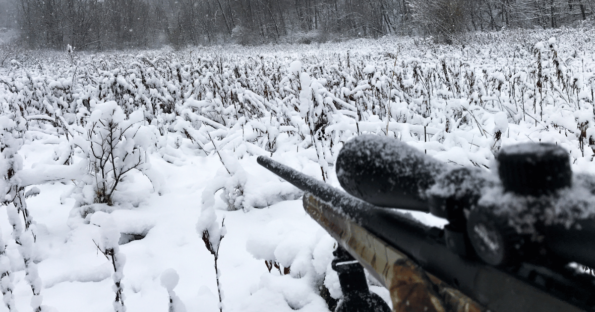A hunting rifle against a snowy field backdrop.