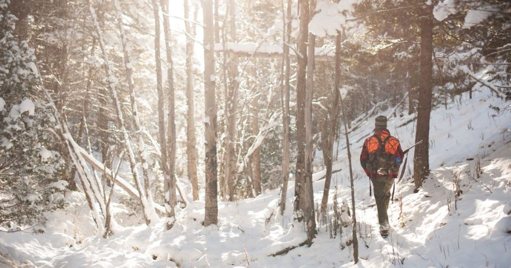 A man in an orange hunting vest and winter clothing walking in a forest covered in snow.