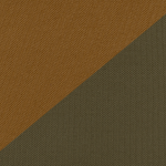 Two-Tone Coyote/Ranger