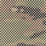 Mesh Multicam
